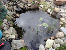 Load image into Gallery viewer, Compact Aeration Kit CAS1