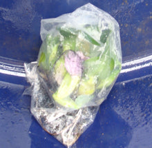 Load image into Gallery viewer, Water Hyacinth