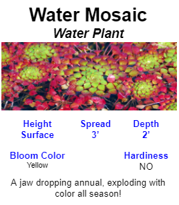 Water Mosaic