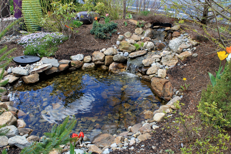 Doityourself Pond Kits Dietter's Water Gardens